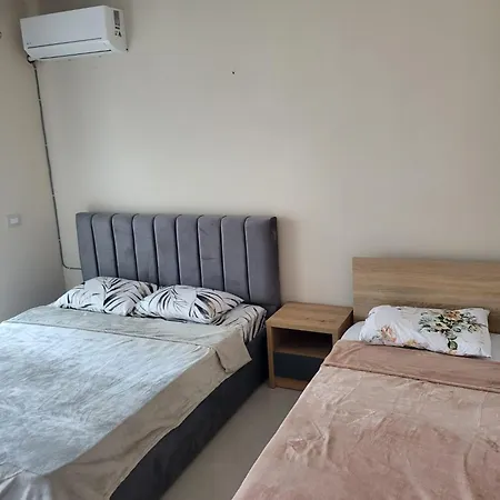 公寓 Aron Tushemisht